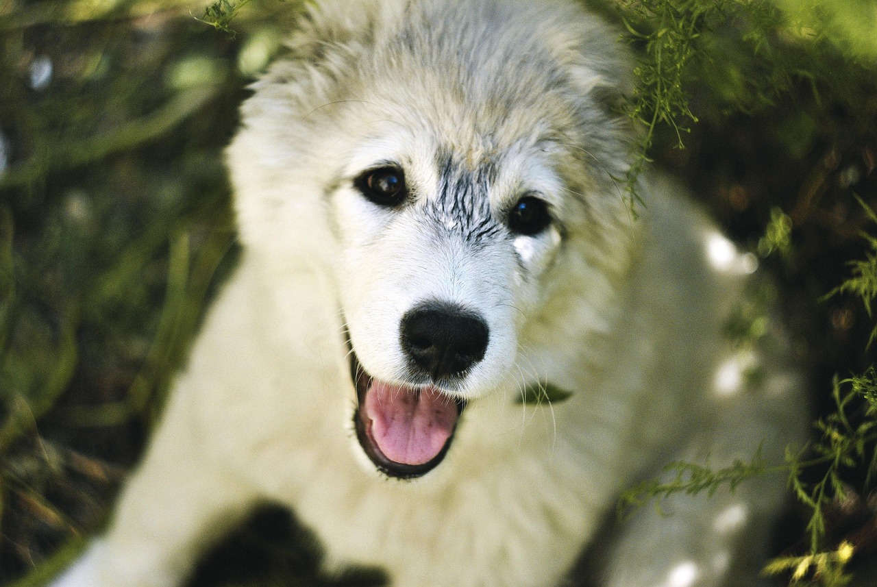 脱毛に美肌効果のある機械はどれがおすすめですか？