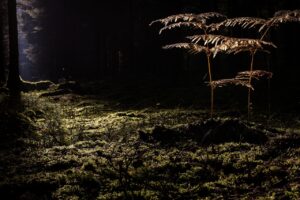 ケノンは毛穴にどのような効果があるのか？
