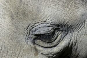 カミソリで毛穴の黒ずみを解消する方法は？