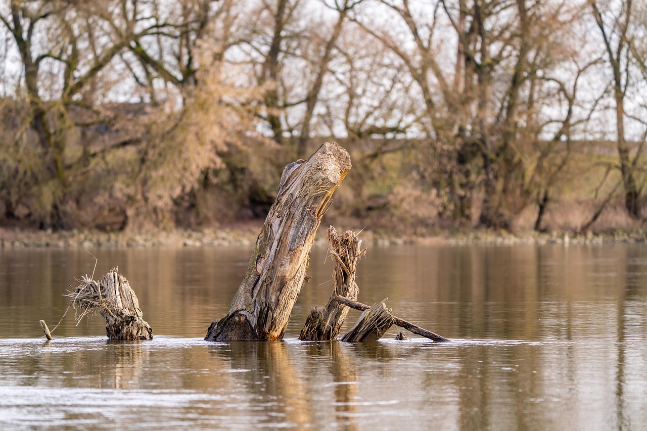 ブラウン脱毛器を顔に使用する際の注意点は？