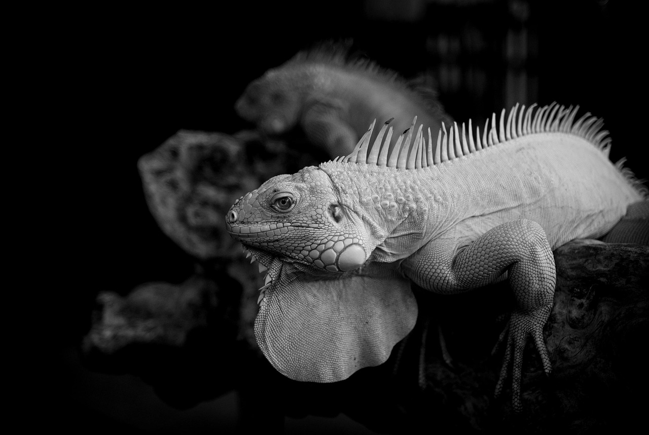 Ulikeの口コミで分かる実際の使い心地は？