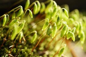 毛嚢炎の対処方法として効果的なケアは？