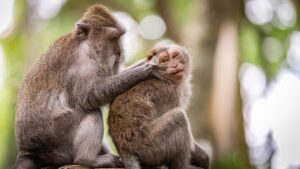 カミソリでの産毛処理がもたらす悪影響とは？