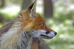 美肌を目指す脱毛方法にはどんな選択肢がある？