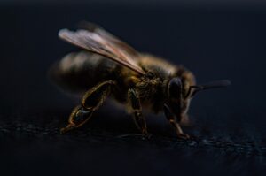 脱毛のおすすめはどれ？口コミから選ぶポイントとは？